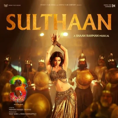 Sulthaan Song By Sulthaan Poster