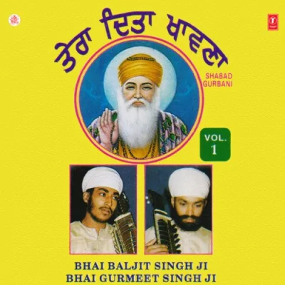 Tin Dhan Jnnedi Maao Aaye Safal Se Song By Tin Dhan Jnnedi Maao Aaye Safal Se Poster