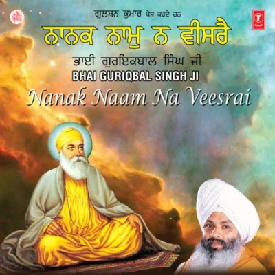 Nanak Naam Na Visrei Song By Nanak Naam Na Visrei Poster