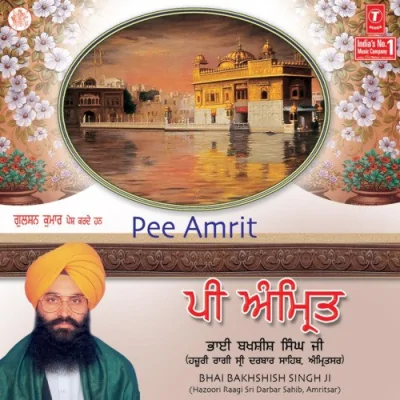 Nasro Mansoor Gur Gobind Singh Song By Nasro Mansoor Gur Gobind Singh Poster