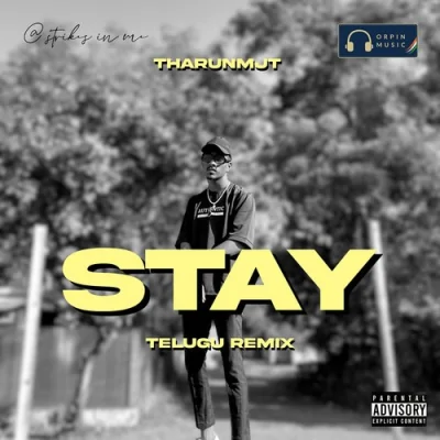 Stay Remix Song By Stay Remix Poster