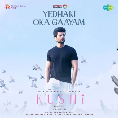 Yedhaki Oka Gaayam Song By Yedhaki Oka Gaayam Poster