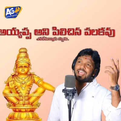 Ayyappa Ani Pilichina Palakavu Song By Ayyappa Ani Pilichina Palakavu Poster