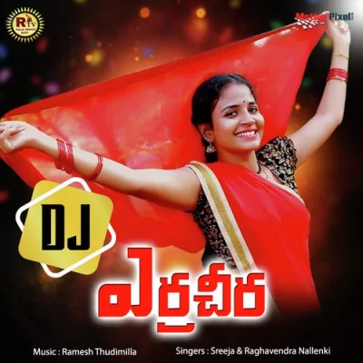 Yerra Cheera DJ Song By Yerra Cheera DJ Poster