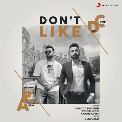 Dont Like Song By Dont Like Poster
