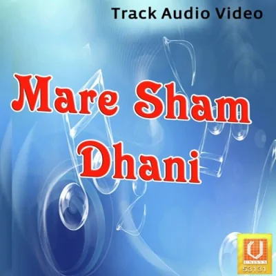 Sham Naam Ke Bhagto Song By Sham Naam Ke Bhagto Poster