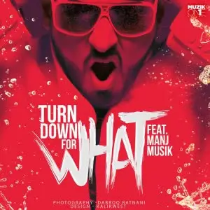 Turn Down For What Song By Turn Down For What Poster