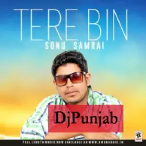 Tere Bin Song By Tere Bin Poster
