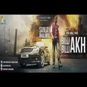 Billi Billi Akh Song By Billi Billi Akh Poster