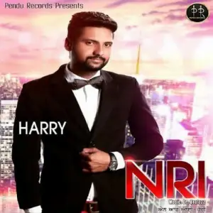 N R I Song By N R I Poster