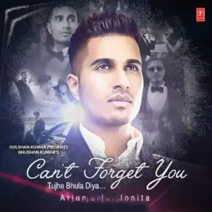 Cant Forget You Song By Cant Forget You Poster