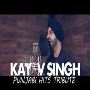 Punjabi Hits Tribute Mashup Song By Punjabi Hits Tribute Mashup Poster
