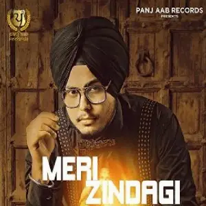 Meri Zindagi Song By Meri Zindagi Poster