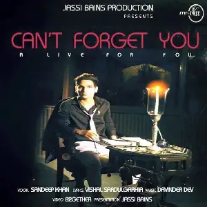 Cant Forget You Song By Cant Forget You Poster