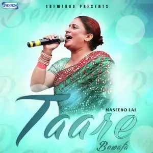Taare Bewafa Song By Taare Bewafa Poster