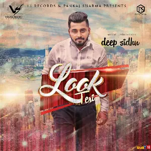 Look Teri Song By Look Teri Poster