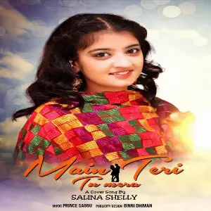 Main Teri Tu Mera Song By Main Teri Tu Mera Poster