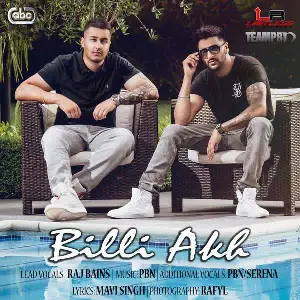 Billi Akh Song By Billi Akh Poster