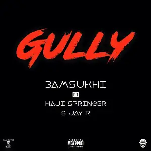 Gully Song By Gully Poster