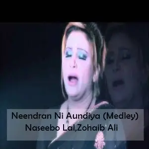 Neendran Ni Aundiya (Medley) Song By Neendran Ni Aundiya (Medley) Poster