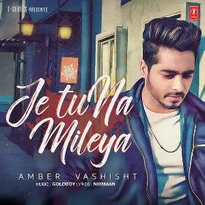 Je Tu Na Mileya Song By Je Tu Na Mileya Poster