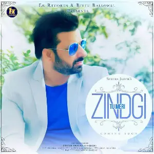 Tu Meri Zindgi Song By Tu Meri Zindgi Poster