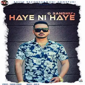 Haye Ni Haye Song By Haye Ni Haye Poster