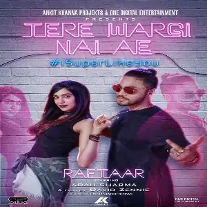 Tere Wargi Nai Ae Song By Tere Wargi Nai Ae Poster