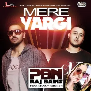 Mere Vargi Song By Mere Vargi Poster
