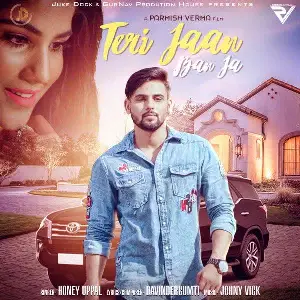 Teri Jaan Ban Ja Song By Teri Jaan Ban Ja Poster