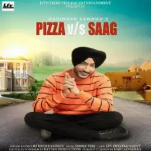 Pizza Vs Saag Song By Pizza Vs Saag Poster