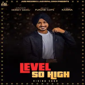 Level So High Song By Level So High Poster