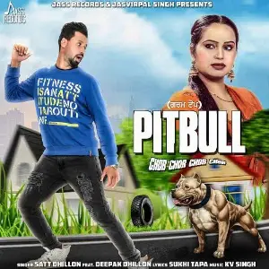 Pitbull Song By Pitbull Poster
