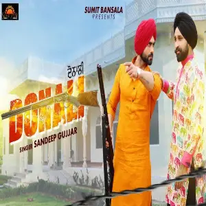 Donali Song By Donali Poster