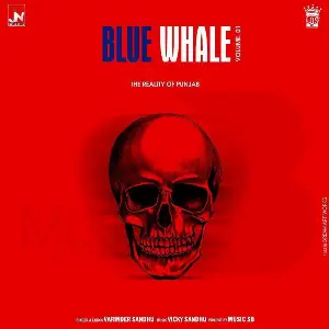 Blue Whale Song By Blue Whale Poster