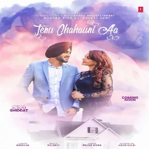 Tenu Chahauni Aa Song By Tenu Chahauni Aa Poster