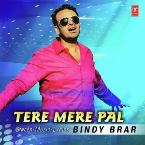 Tere Mere Pal Song By Tere Mere Pal Poster