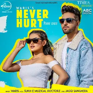 Never Hurt Song By Never Hurt Poster
