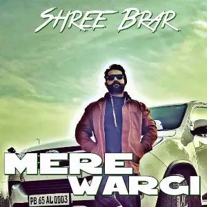 Mere Wargi Song By Mere Wargi Poster