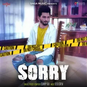 Sorry Song By Sorry Poster