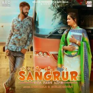 Sangrur The Past Life Song By Sangrur The Past Life Poster
