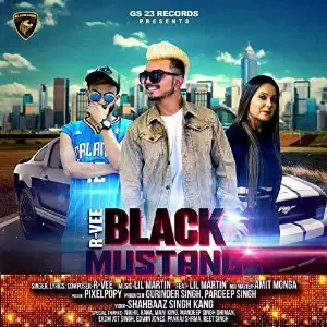 Black Mustang Song By Black Mustang Poster