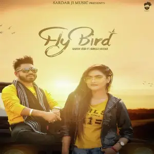 Fly Bird Song By Fly Bird Poster