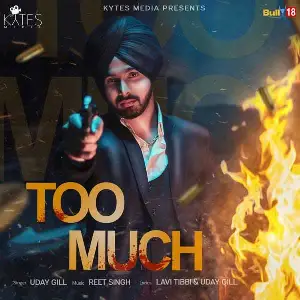 Too Much Song By Too Much Poster