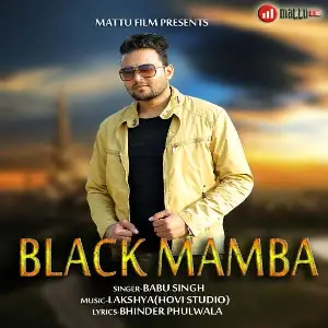 Black Mamba Song By Black Mamba Poster