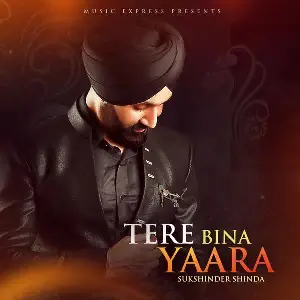 Tere Bina Yaara Song By Tere Bina Yaara Poster