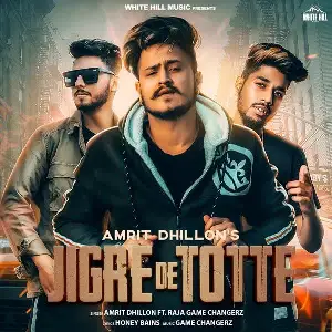 Jigre De Totte Song By Jigre De Totte Poster