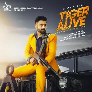 Tiger Alive Song By Tiger Alive Poster