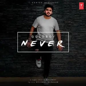 Never Song By Never Poster