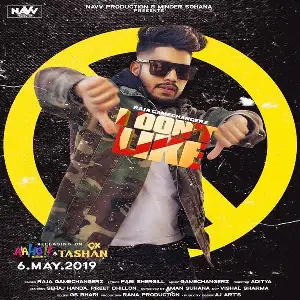 I Dont Like Song By I Dont Like Poster